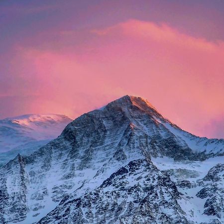 Le Chalet Mont Blanc Les Houches Bagian luar foto
